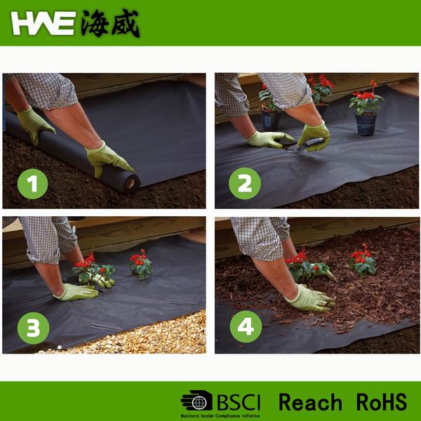 Non Woven Fabric for Plant Protection