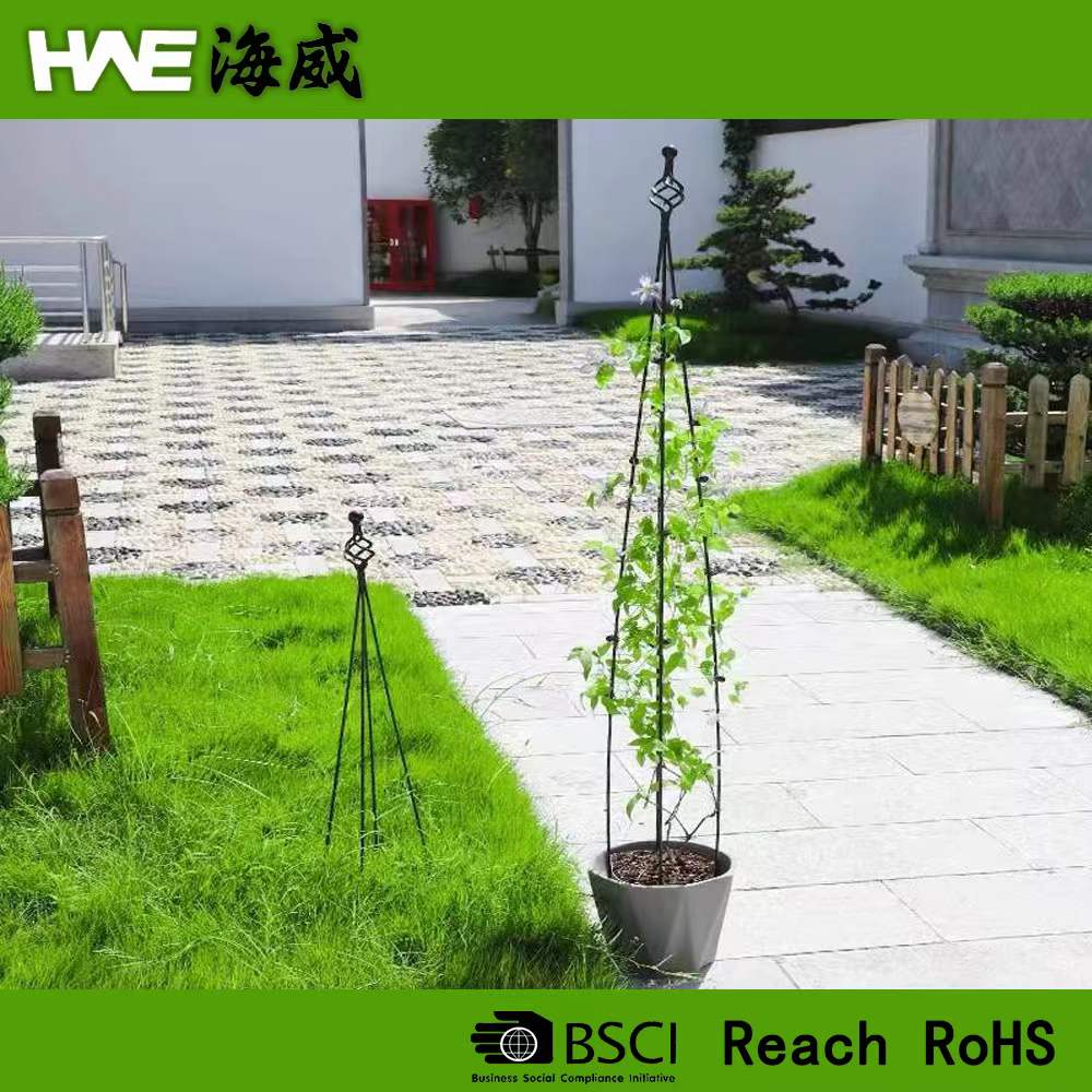 D6 Garden  Plant Support Potted Climbing Plants.jpg